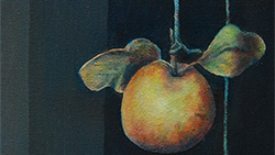 Demo image
