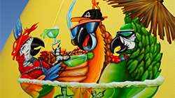 Demo image